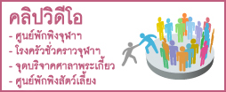 mix-banner-thai